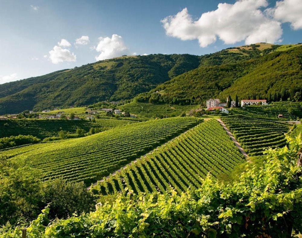 Follinetta10 - Enjoy Holiday Home In The Prosecco Hills Follina Exteriör bild